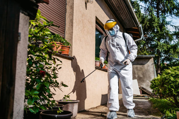 Best Pest Prevention Services  in Home Gardens, CA