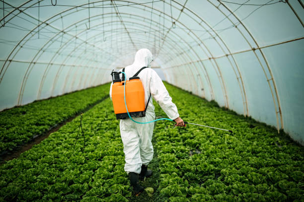 Best Pest Inspection Near Me  in Home Gardens, CA