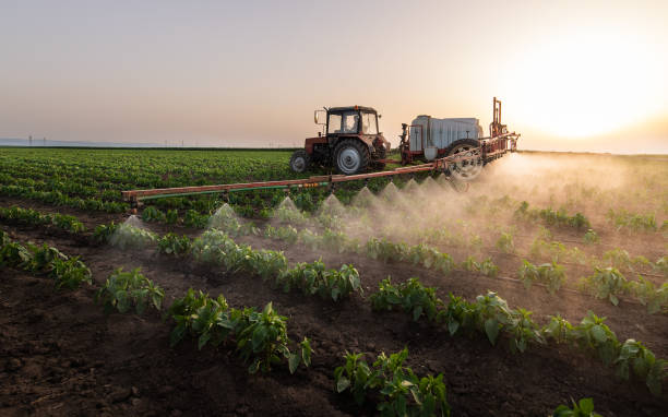 Best Best Pest Control Companies  in Home Gardens, CA