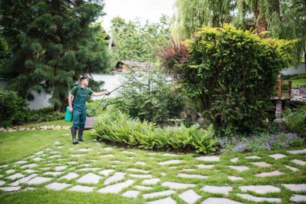 Best Termite Control Services  in Home Gardens, CA