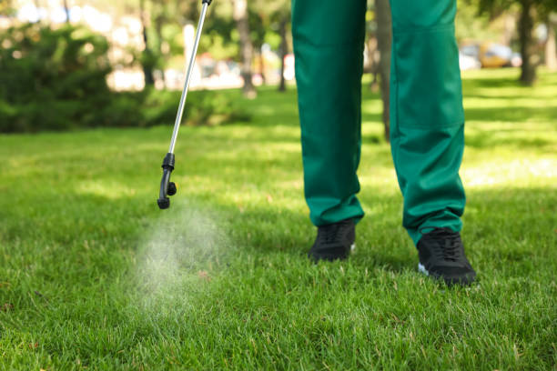 Best Pest Control Near Me  in Home Gardens, CA
