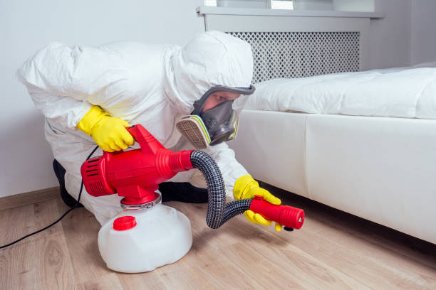 Insect Control in Home Gardens, CA