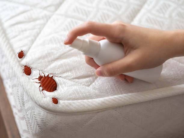 Home Gardens, CA Pest Control Company