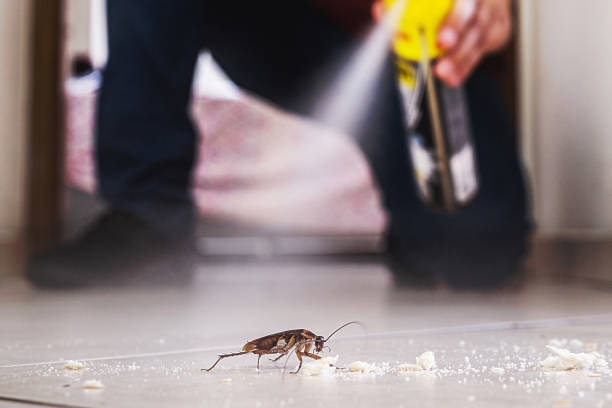 Best Best Pest Control Companies  in Home Gardens, CA