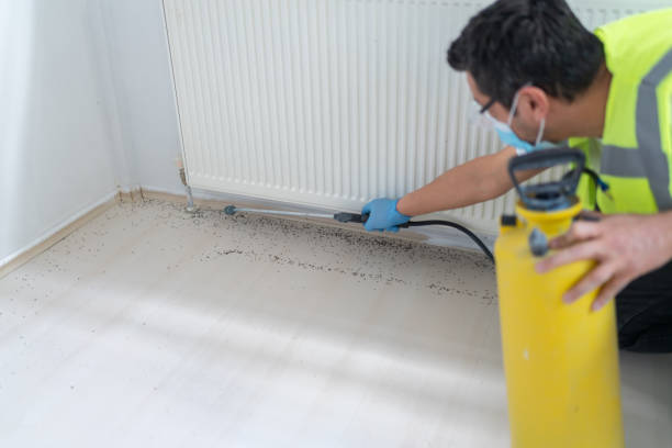 Best Residential Pest Control  in Home Gardens, CA