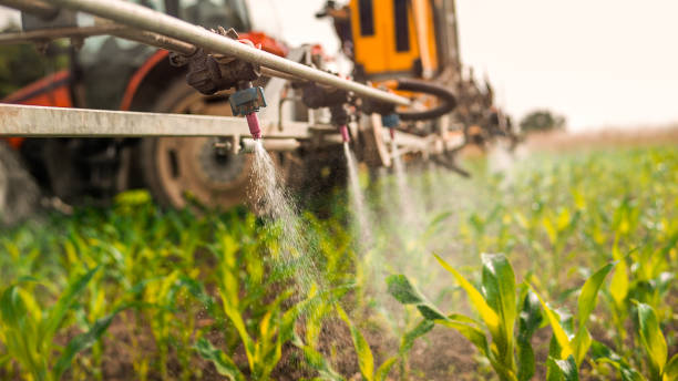 Best Local Pest Control Services  in Home Gardens, CA
